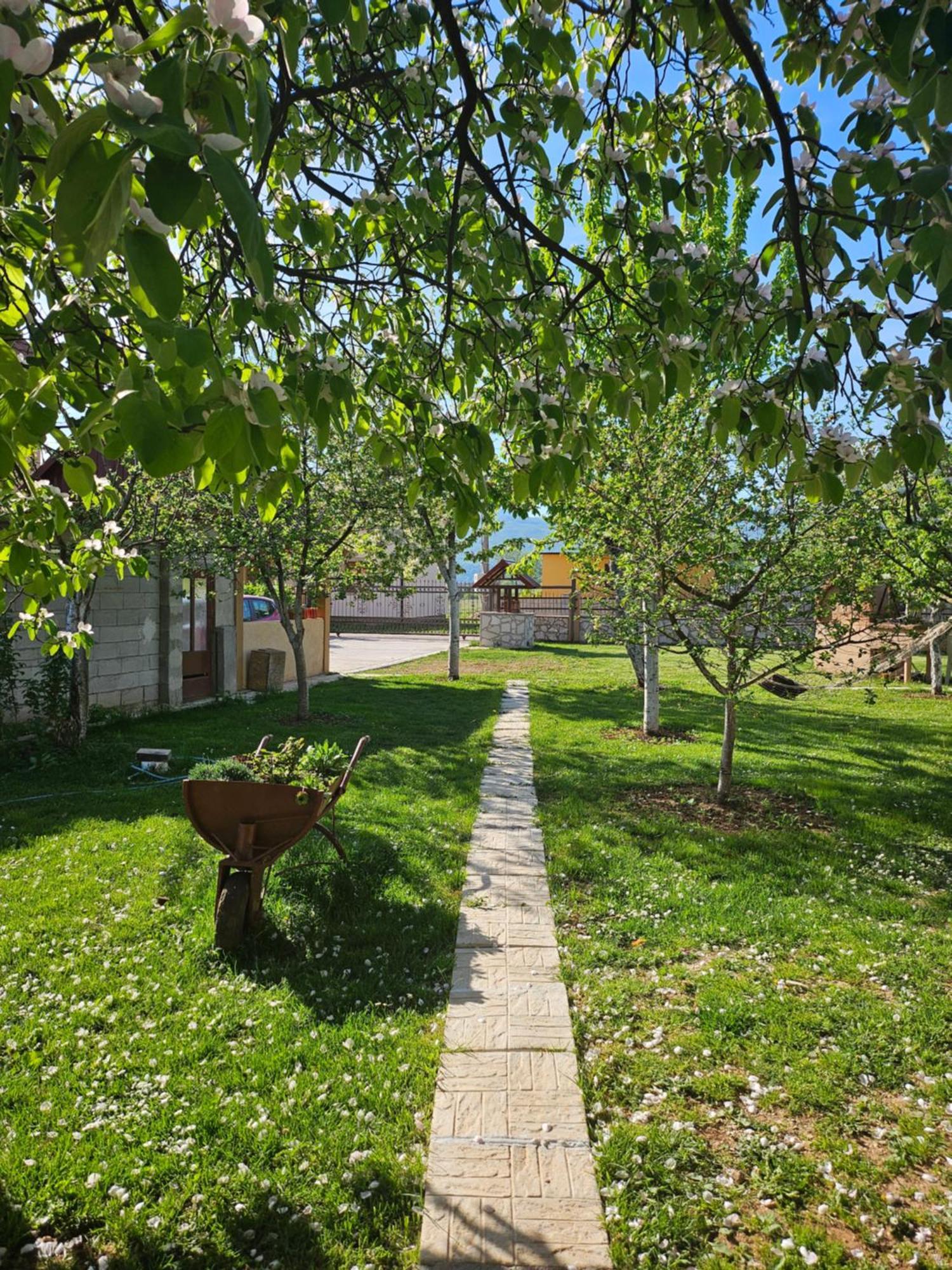 Appartamento Calm Nest Nikšić